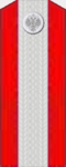 Младший вахмистр (чин).png