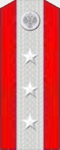 Старший вахмистр (чин).png
