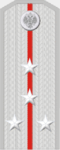 Подъесаул (чин).png
