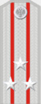 Войсковой старшина (чин).png